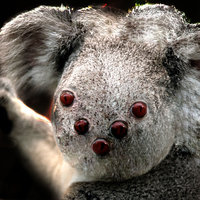 Павел Смирнов