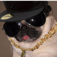 Даниил Шлыков