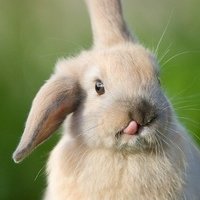 Сергей Демидов