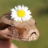 Светлана Сидорова