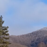 Екатерина Вожжова