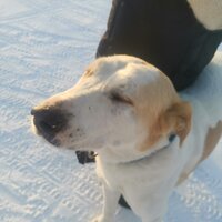 Арина Тимченко