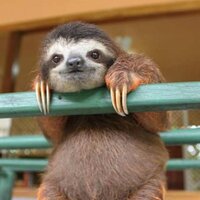 Елена Тететина