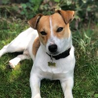 Галина Дубкова