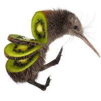 Полина Ковалева