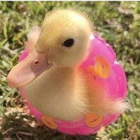 Вячеслав У.