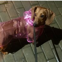 Виктория Злобина