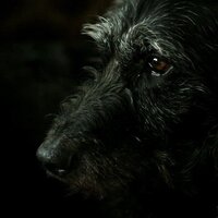 Оксаночка Денисенко