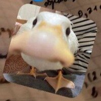 Гусь Евгнадий