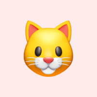 Лиза Рубцова