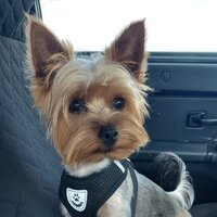 Пользователь Б.