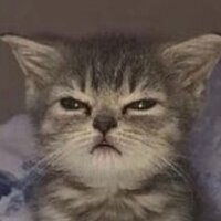 Владислав Александрович