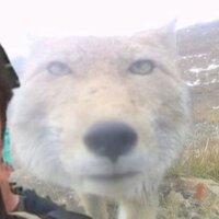 Настя Хуснутдинова