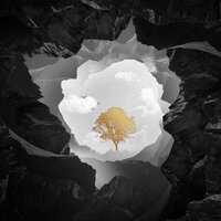 Нигора Темирова