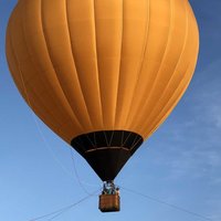 Евгения Титова