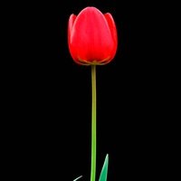 Александр Ю.