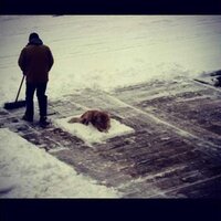 Нурбагыт Женисов