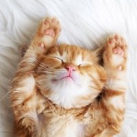 Анна Булатова