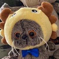 Ирина Солнце