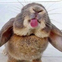 Злая Зая 🐰