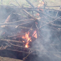 Александр З.