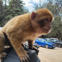 Анатолий Т.