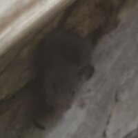 Екатерина З