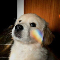 Анастасия Борисова