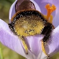 Лада Жилкина