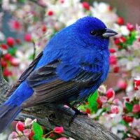 Александр Скворцов