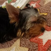 Ульяна Парамонова