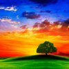 e5ba92253mc5dbdbj579w9kczw