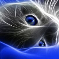 Елена Федорова