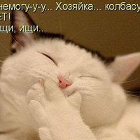 Александр Козелков