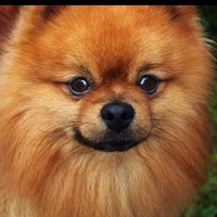 Юрий Алексиков