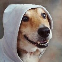 Звёздный лорд