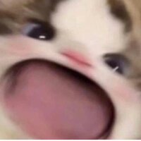 Анна Паламаренко