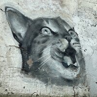 Анна Николаева