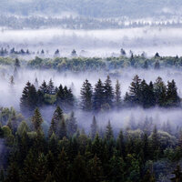 Владислав Дружинин