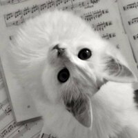 Соник Комиссар