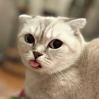 Данир Мухамадеев