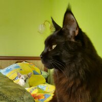 Оксана Жданова