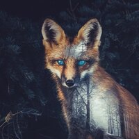 Геля Демешина