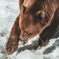 Павел Александрович Лар