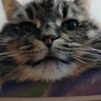 Настасья Ч.