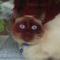 Оксана Л.