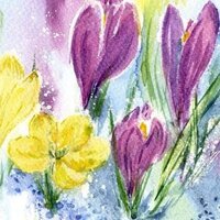 Екатерина З.