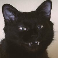 Катерина И.