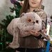 АФЗАЛОВА АННА