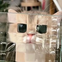 Александра Цилих